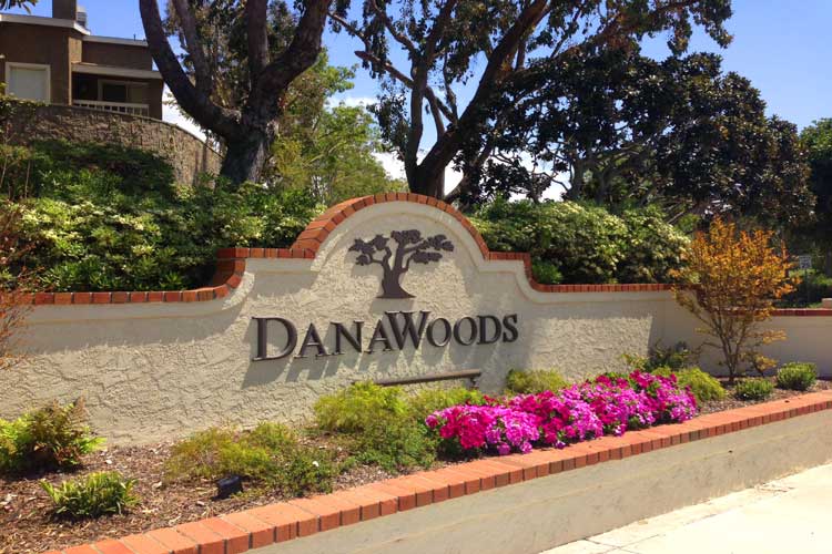 Dana Woods Homes For Sale | Dana Point Real Estate